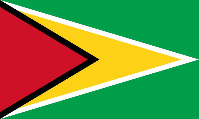 Flag of Guyana svg LearnLab